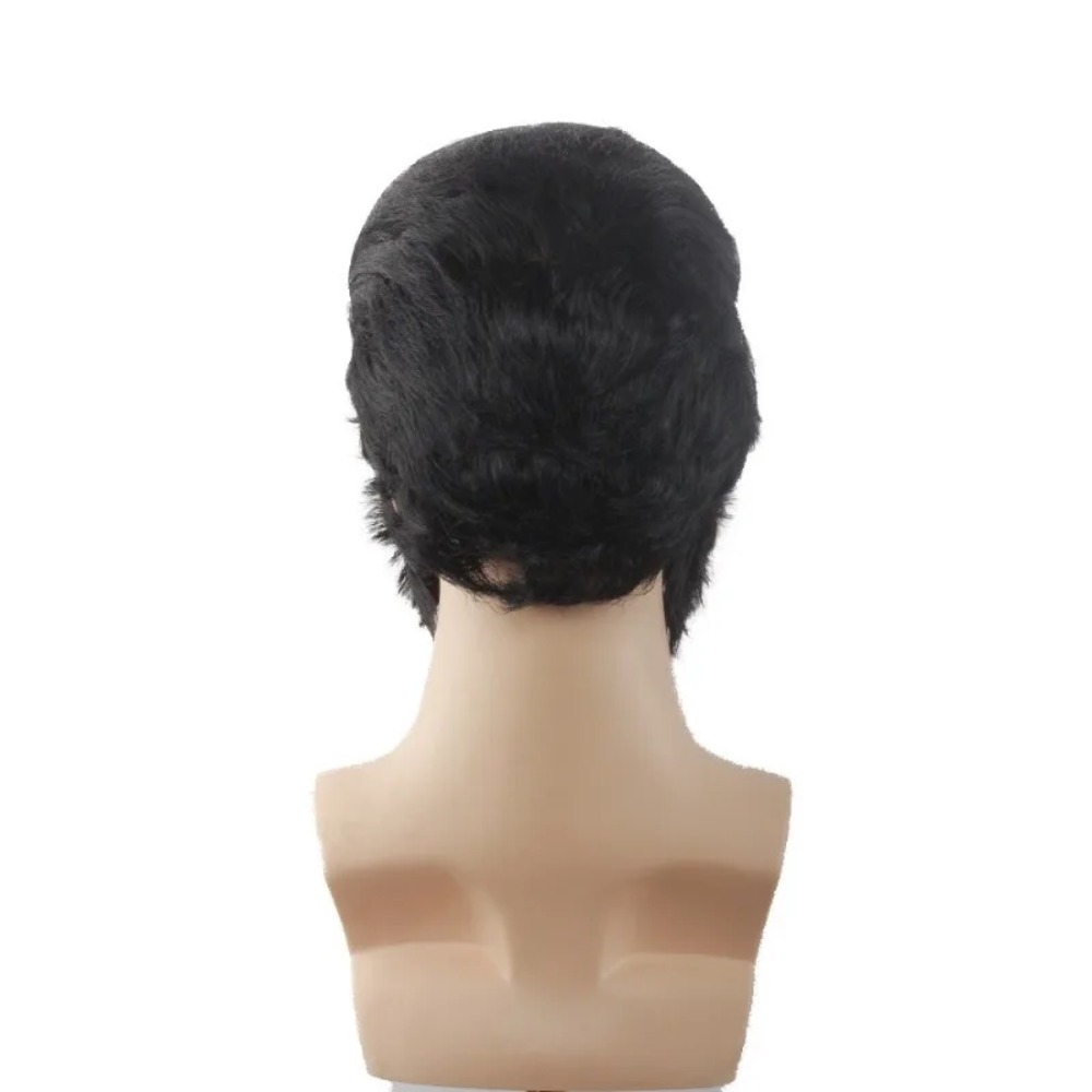 Retro Man Star Cosplay Pruik Z - Men Accessories To Wear recensie en prijs
